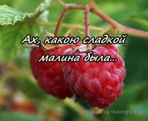 текст песни ягода малина